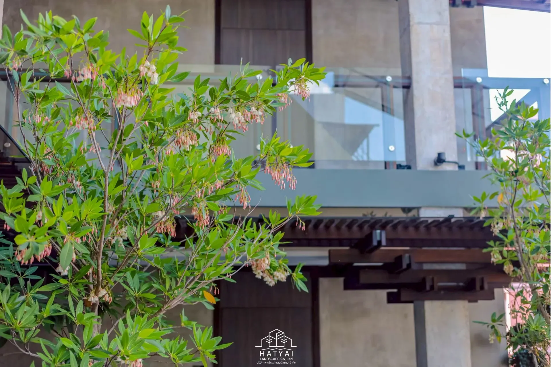 สวนญี่ปุ่น