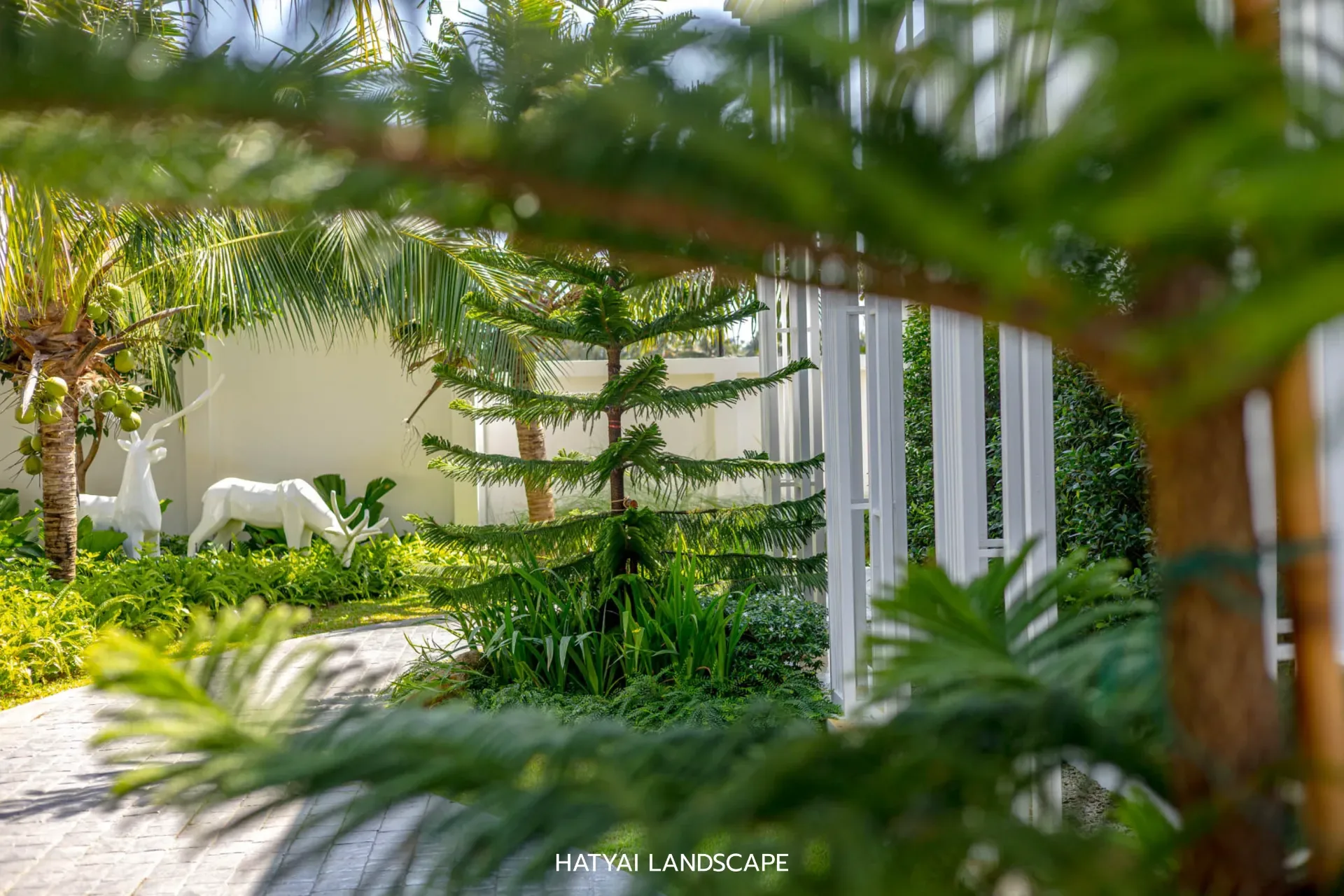 สวนโมเดิร์นทรอปิคอล