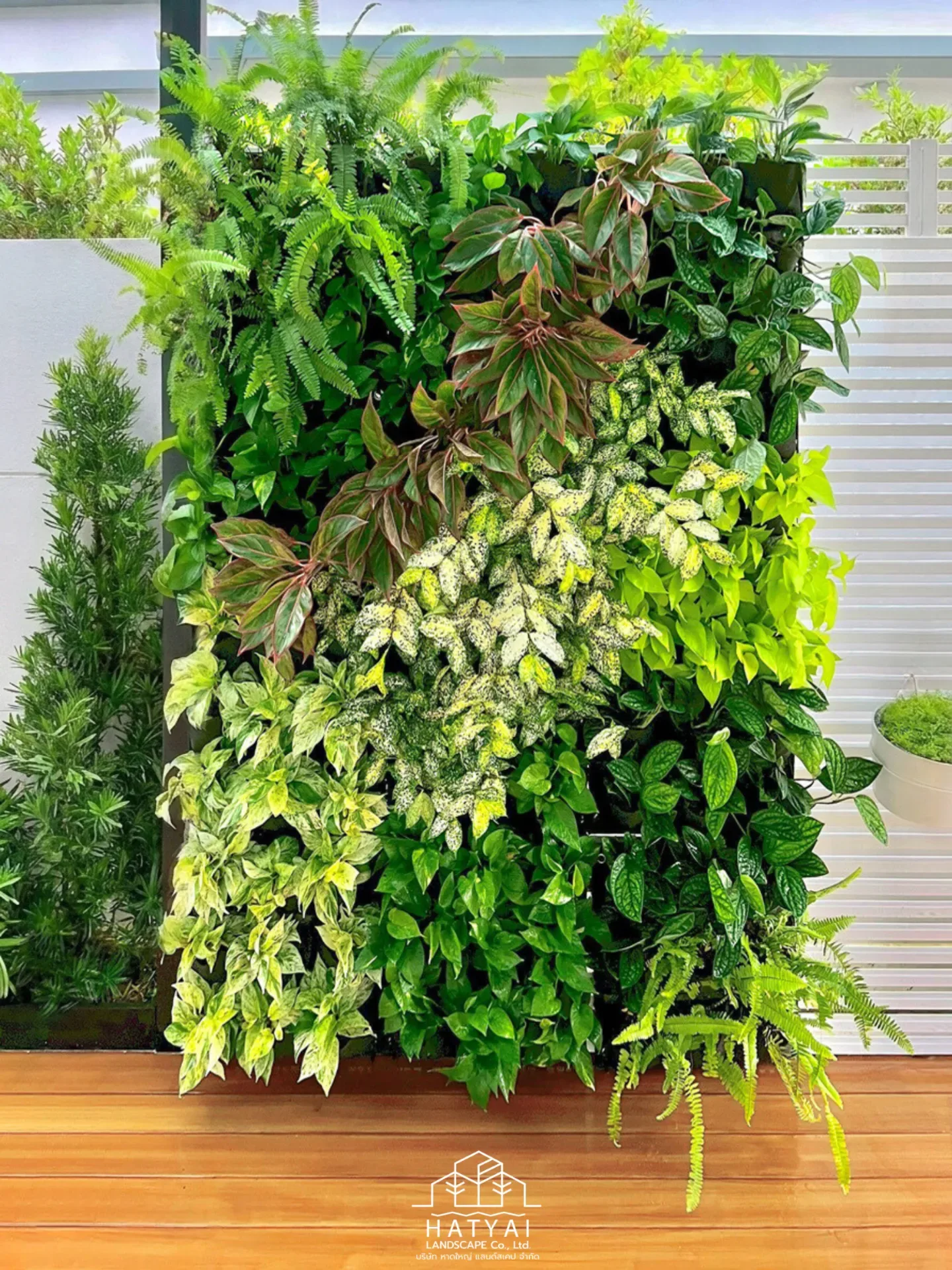 สวนแนวตั้ง