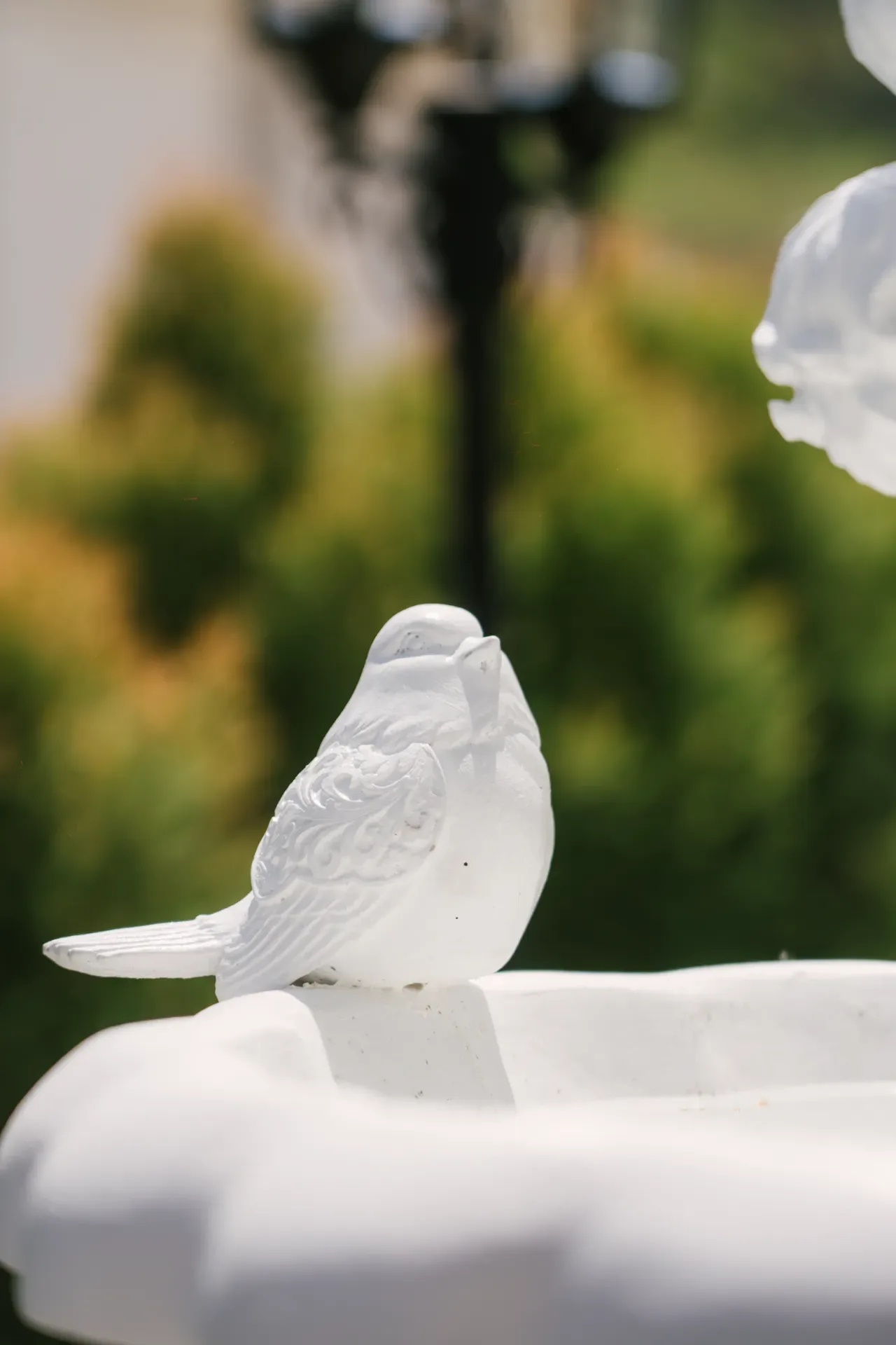 สวนอังกฤษ