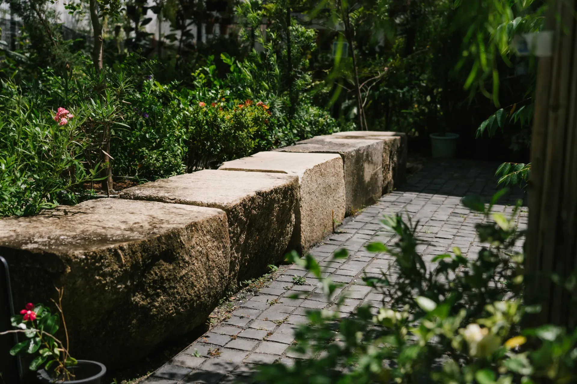 สวนญี่ปุ่น